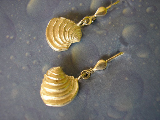 Ohrringe Venusmuschel Meer Küste Silber