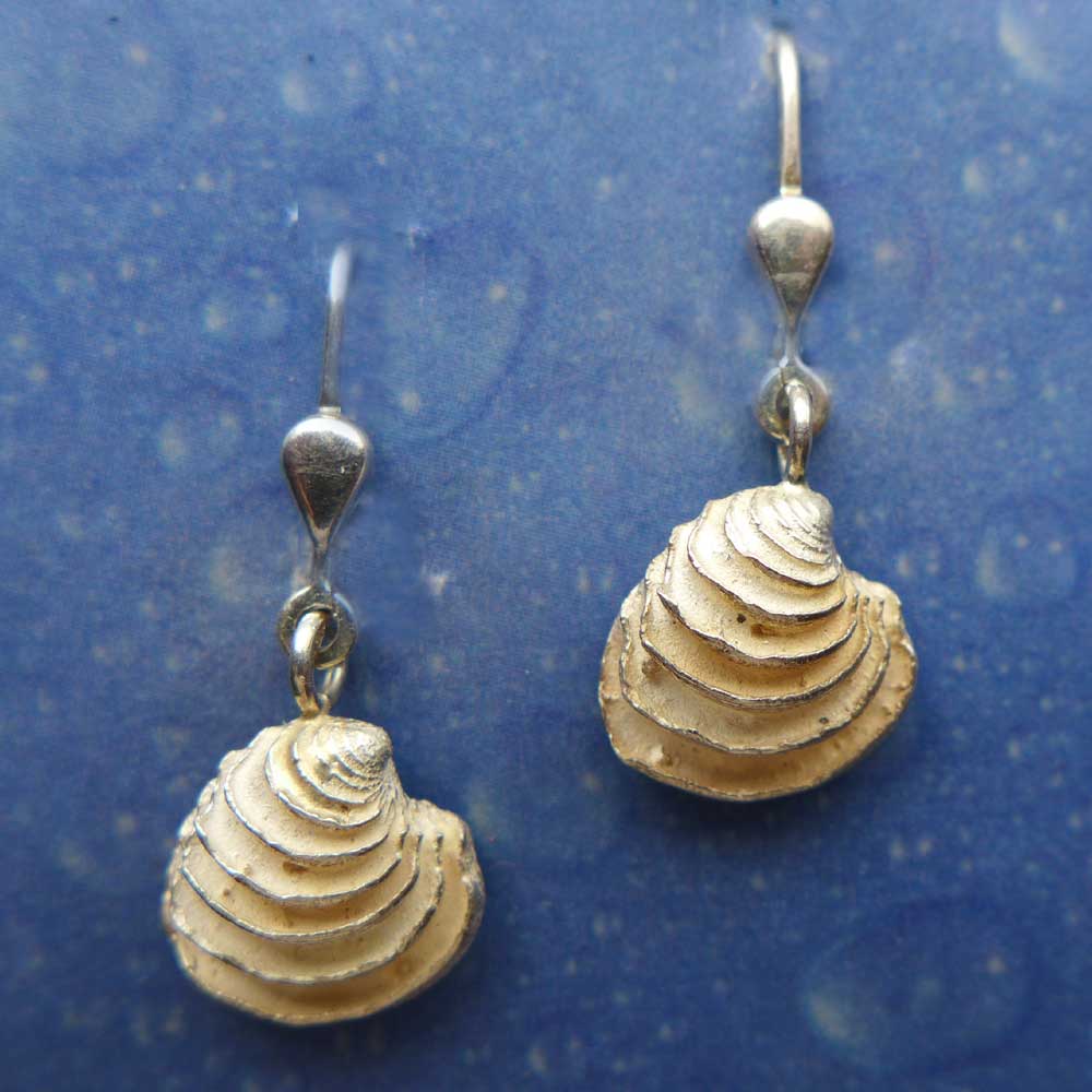 Ohrhänger Silber Muschel Meer maritim Schmuck