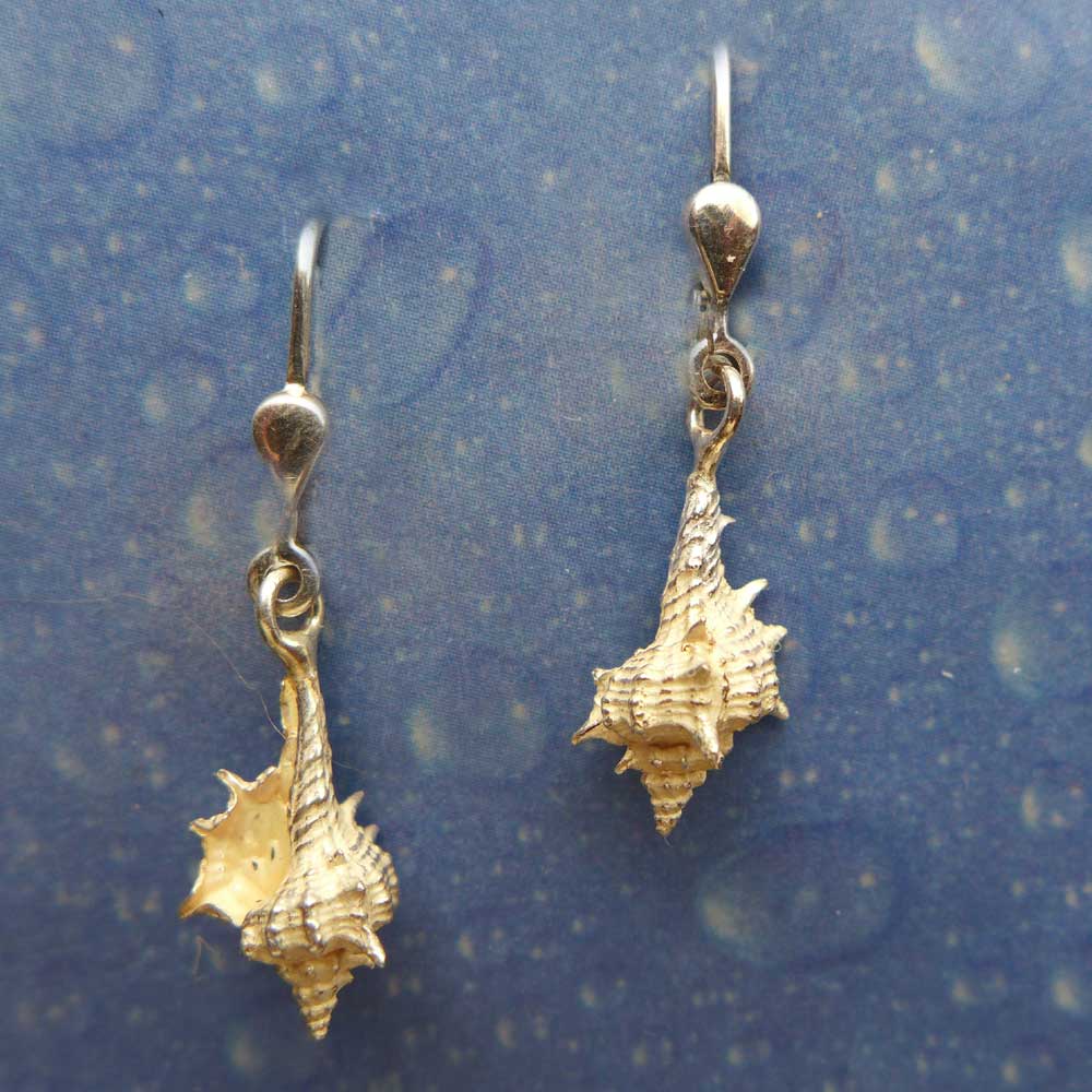 Ohrring Schnecken Herkuleskeule Ohrhänger