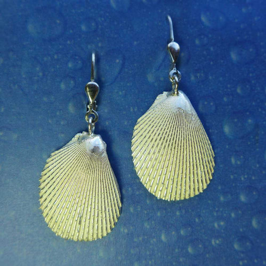 Maritimer Schmuck Ohrhänger Feilen Muschel