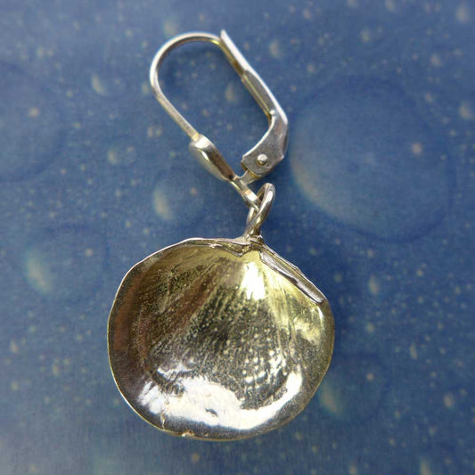 Muschelschmuck Ohrringe Mond Muschel Rückseite