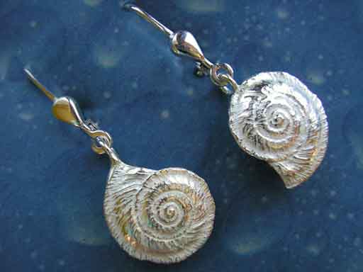 Muschel Schnecken Ohrringe Sonnenuhr
