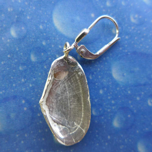 Strandgut Ohrringe Tell Muschel Rückseite