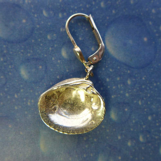 Strandgut als Ohrring Venusmuschel Rückseite