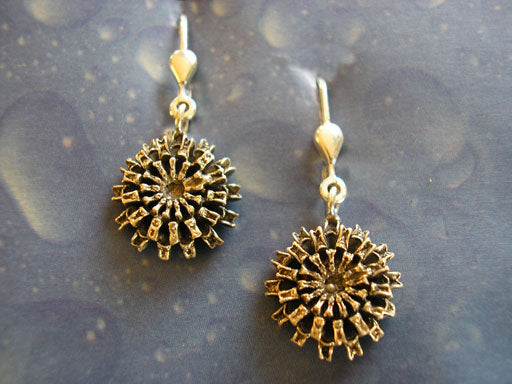 Ohrringe Silber Samen gesägt Ohrhänger