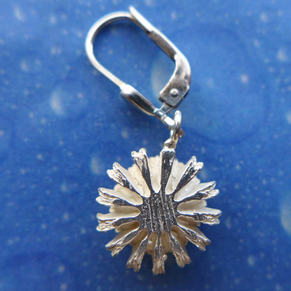 Ohrringe Silber Samen gesägt Ohrhänger