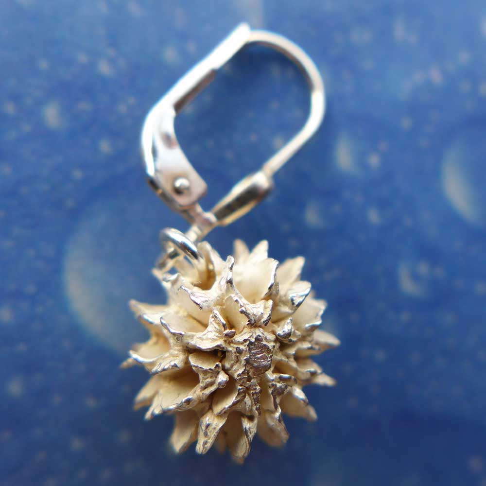 Samen Schmuck Casuarine Ohrhänger Rückseite