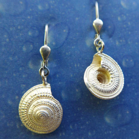 Schmuck von der See Silber Ohrhänger