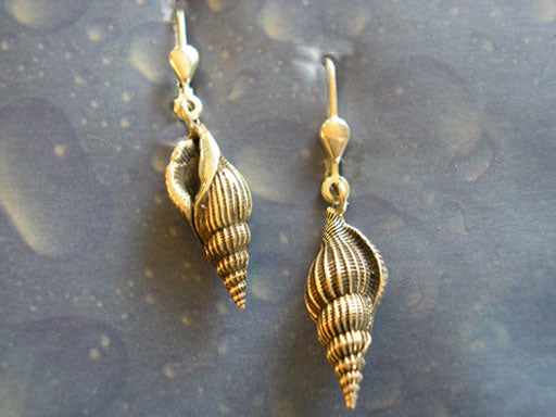 Strandgut Schmuck Ohrringe Schnabelschnecke geschwärzt