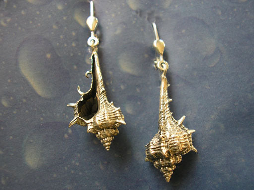 Kollektion Strandgut Ohrringe Herkuleskeule geschwärzt