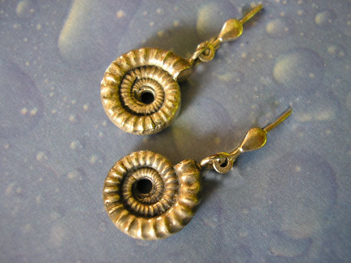 Ammonit Ohrringe Fossilien Silber