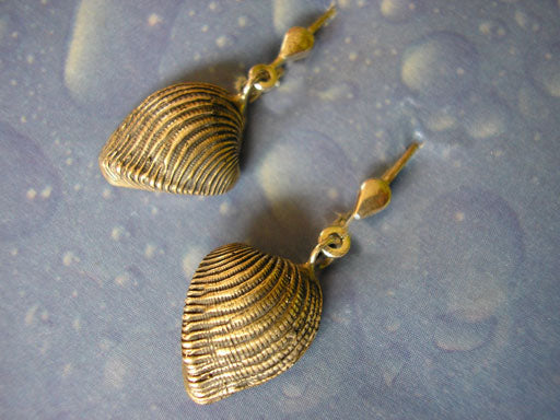 Muschelschmuck Silber Ohrringe maritim