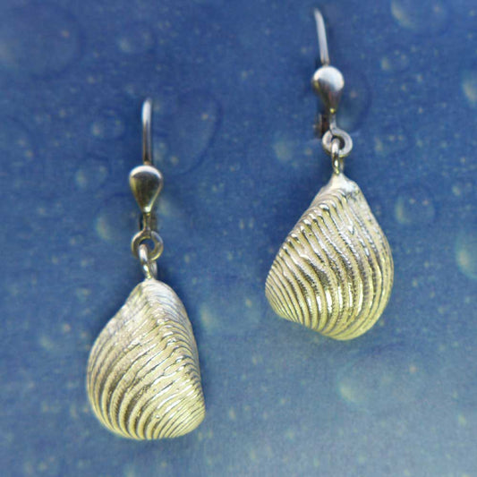 Ohrhänger Muschel Ohrringe Silber maritim
