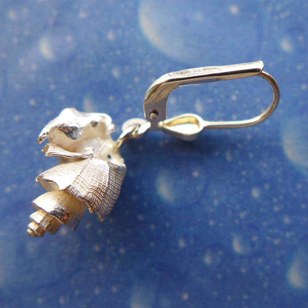 Meer Schmuck Ohrringe Muskatnuss Rückseite