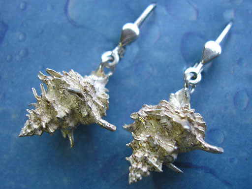 Strandgut Ohrringe Stachel Schnecke