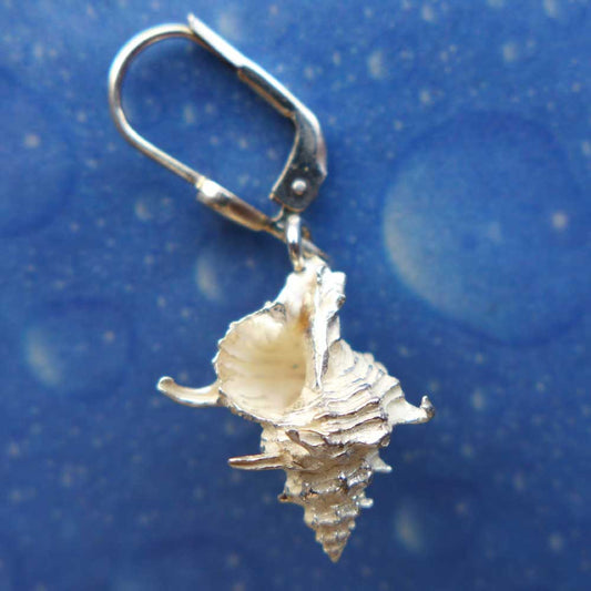 Strandgut Ohrringe Stachel Schnecke Rückseite