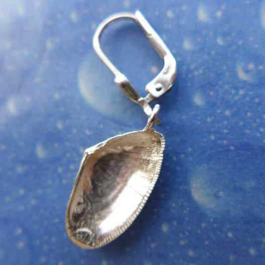Sägezahn Muschel s Ohrhänger
