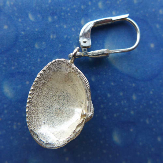 Muschelschmuck Ohrringe Archen Kamm Rückseite