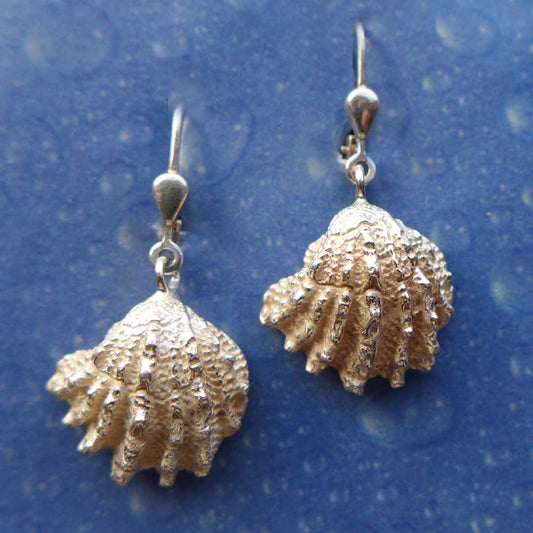 Schmuck von der Küste Meer Strand Ohrringe Ohrhänger