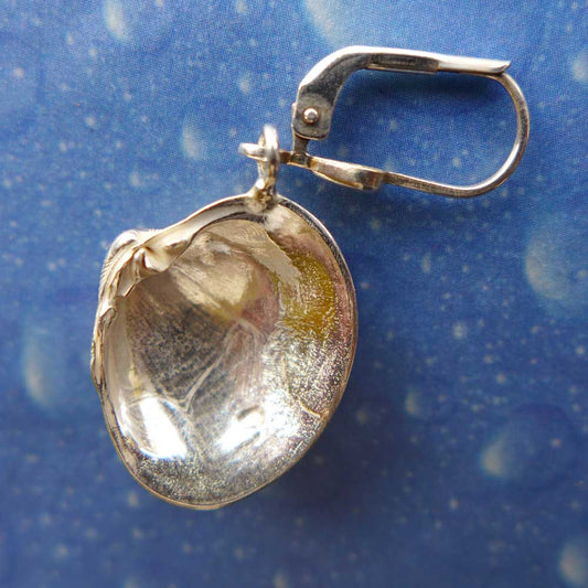 Schmuck Venusmuschel Ohrringe Silber Rückseite