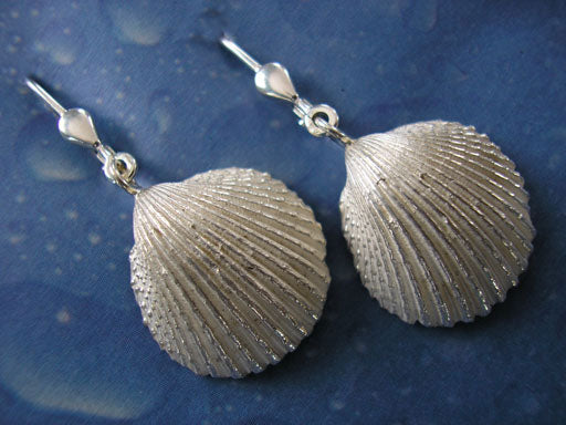 Ohrringe Herzmuschel Silberschmuck