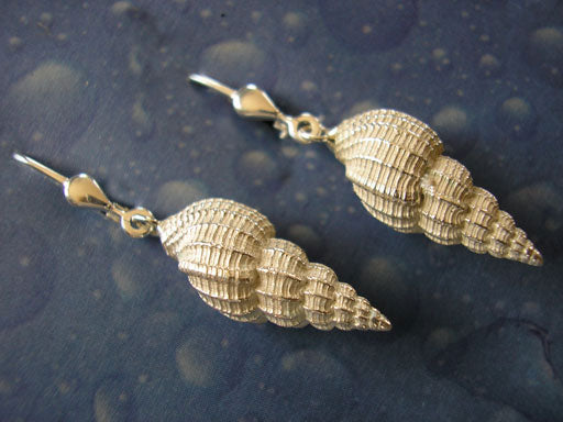 Schnecken Ohrringe Silber