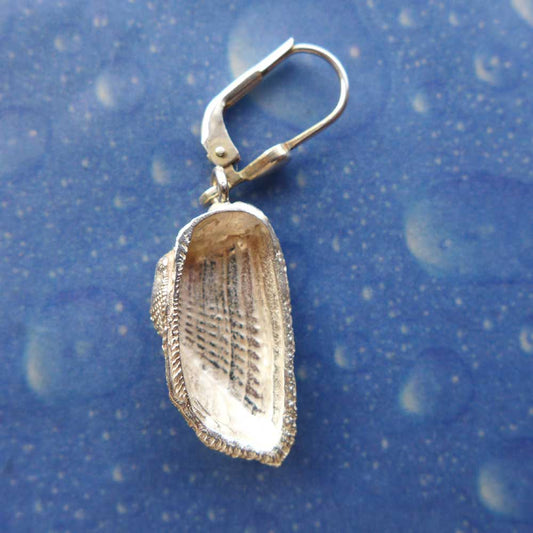 Kahnmuschel Arche Ohrhänger