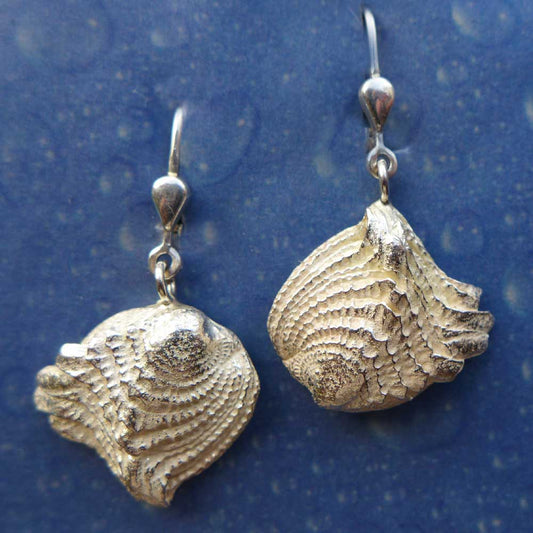 Geschuppte Muschel Ohrhänger