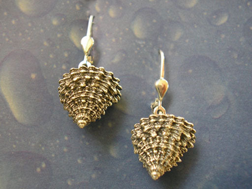 Strand Ohrringe Schnecke Schmuck geschwärzt