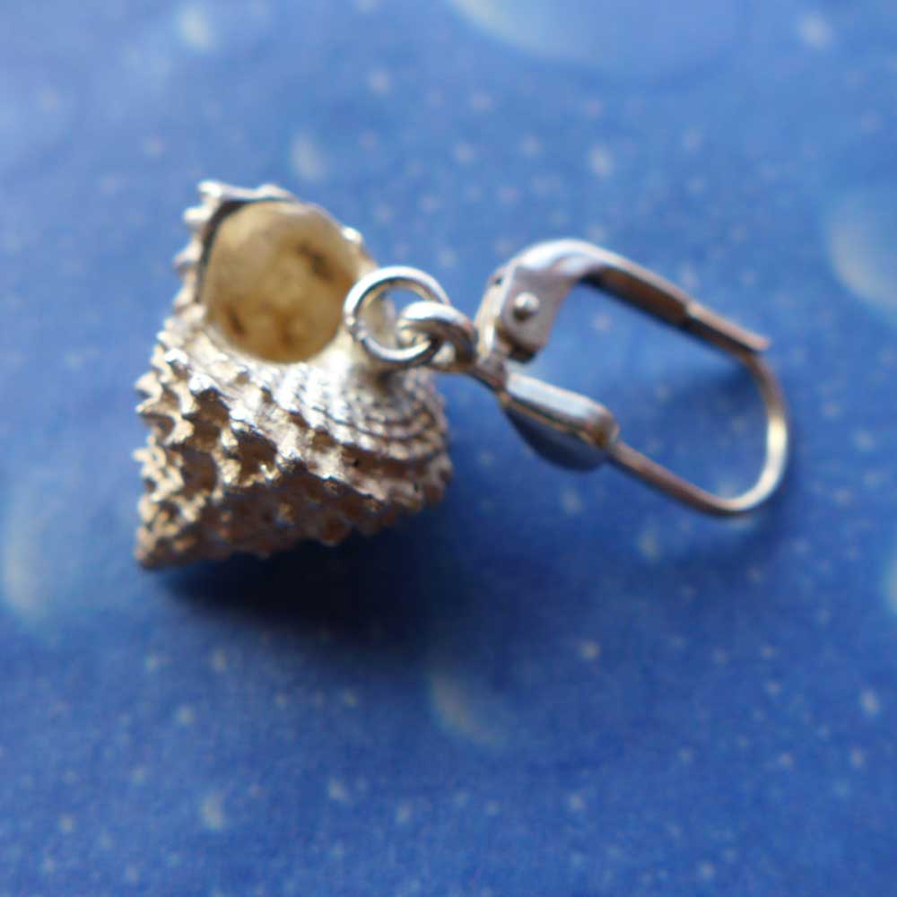 Strand Ohrringe Schnecke Schmuck