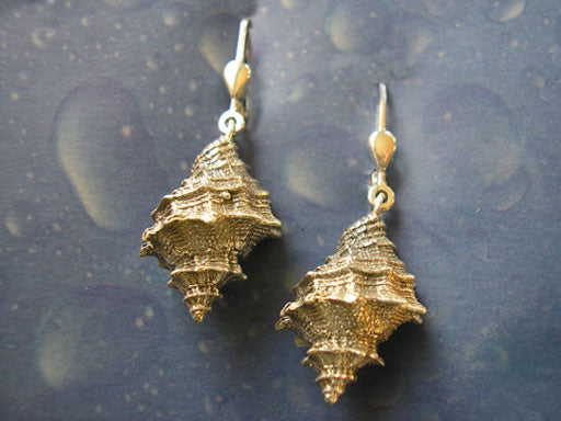 Meeresmotiv Silber Ohrhänger Felsschnecke