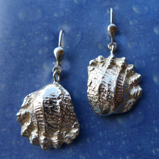 Gewellte Muschel Ohrhänger