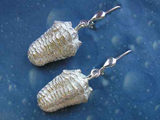 Trilobit Silber Schmuck Ohrringe