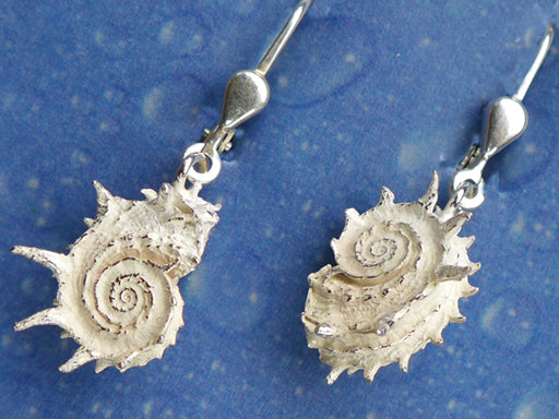 Taucher Schmuck Delfinchen Ohrhänger