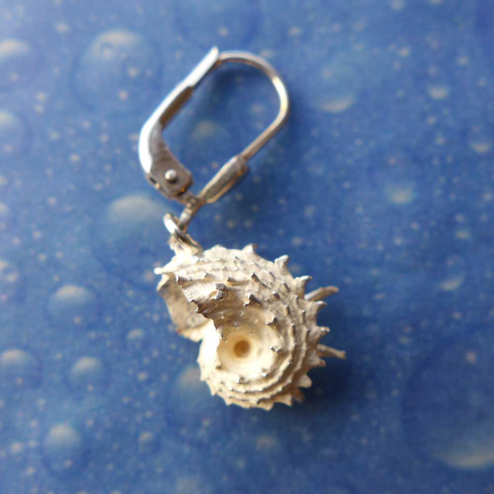 Taucher Schmuck Delfinchen Ohrhänger Rückseite