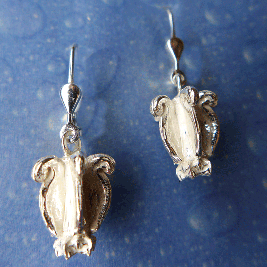 Schmuck für Blumenkinder Silber Ohrringe