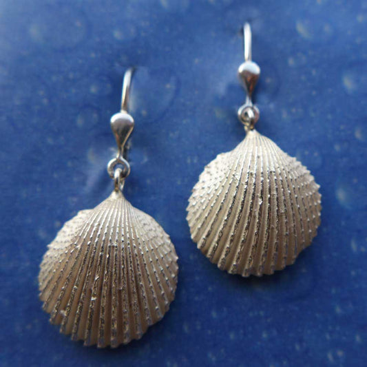 Ohrringe Herzmuschel Silberschmuck