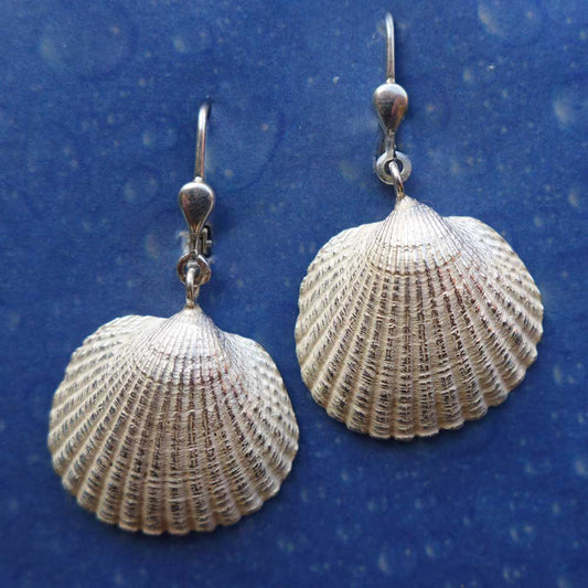 Ohrringe Muschel Silber Kamm