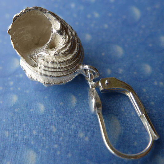 Meerjungfrau Ohrringe Schnecke Taucherschmuck