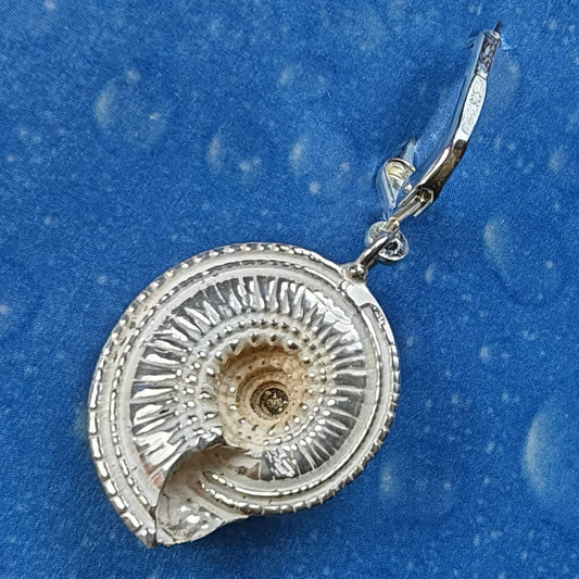 Ohrringe Schnecke Silberschmuck