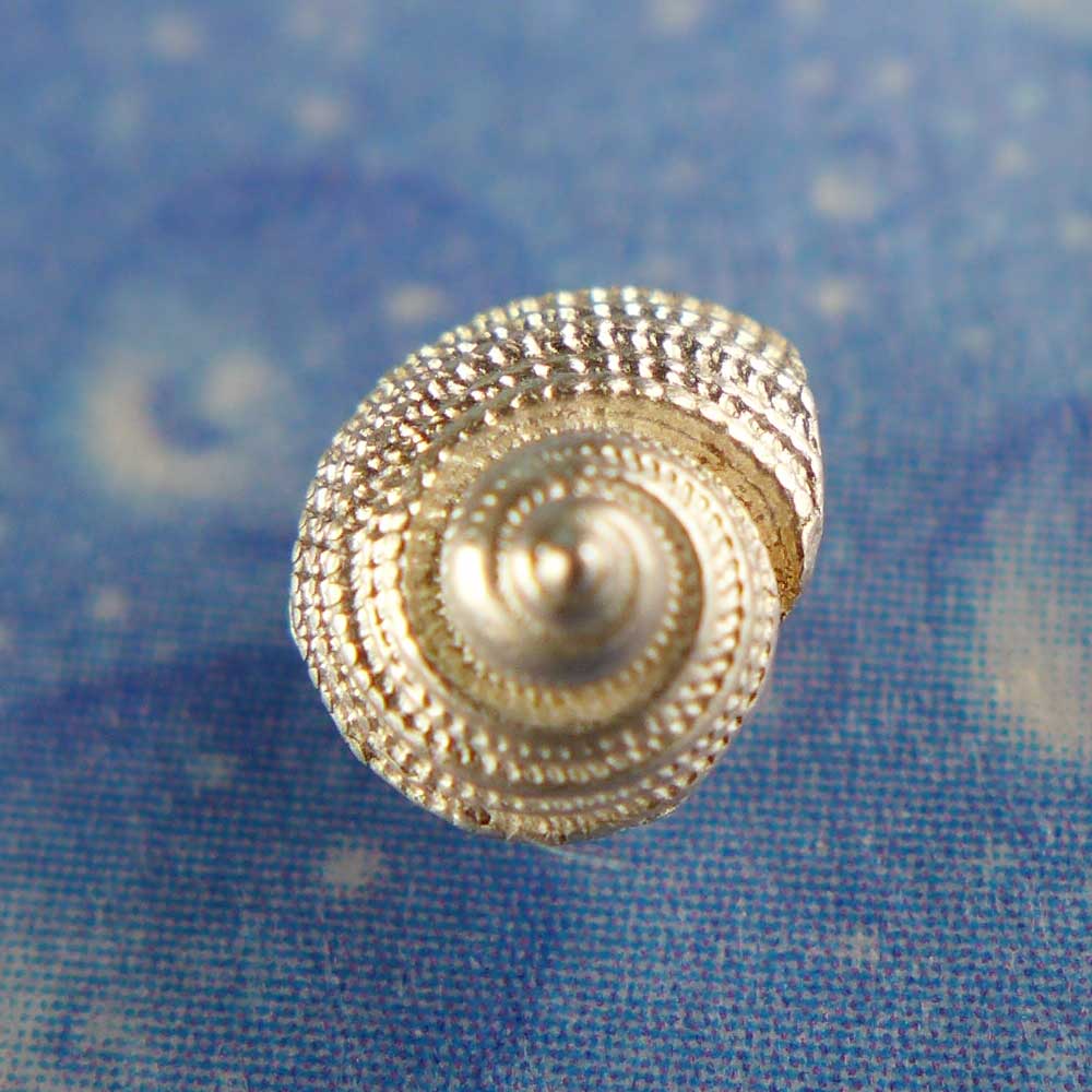 Meer Ohrringe Silber Erdbeerschnecke