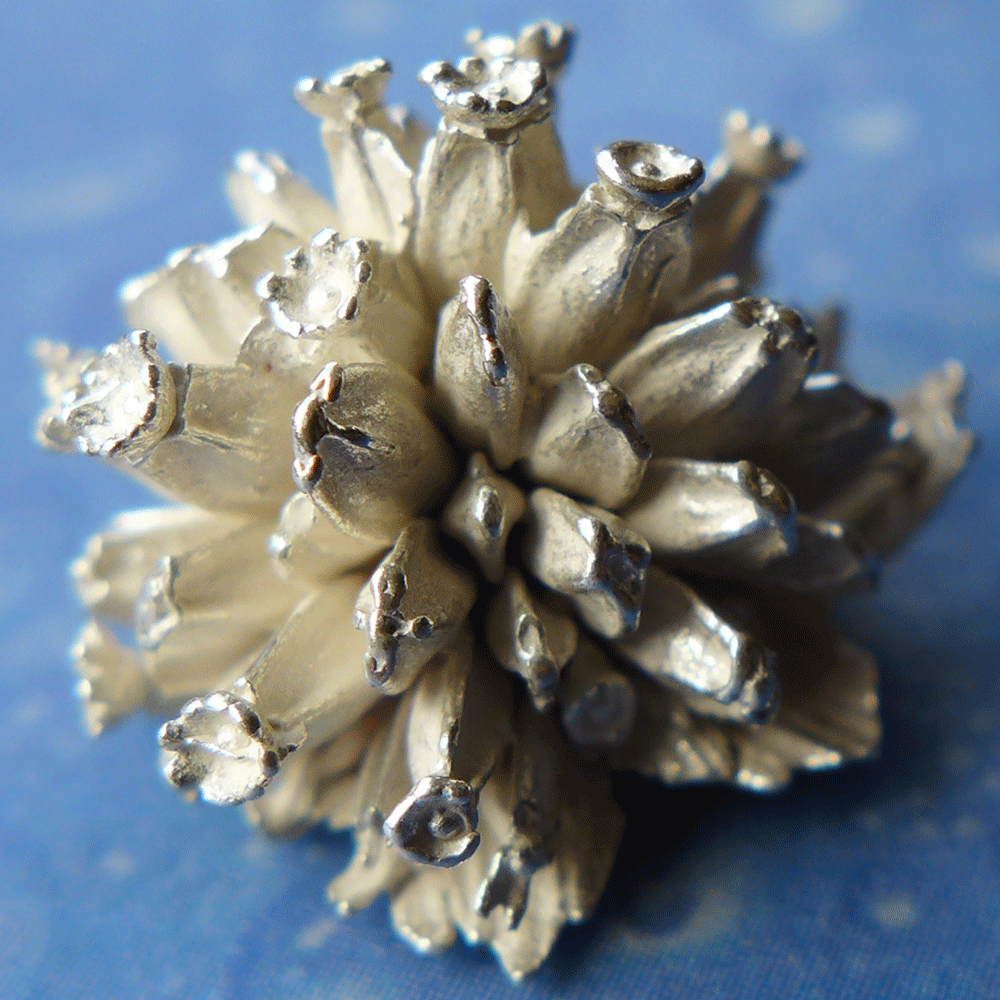 Teufelsabbiss Ohrstecker für Blumenkinder