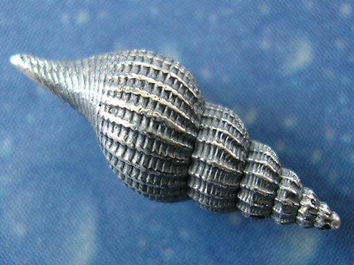 Vitamin Sea Schmuck Tibia Ohrstecker geschwärzt