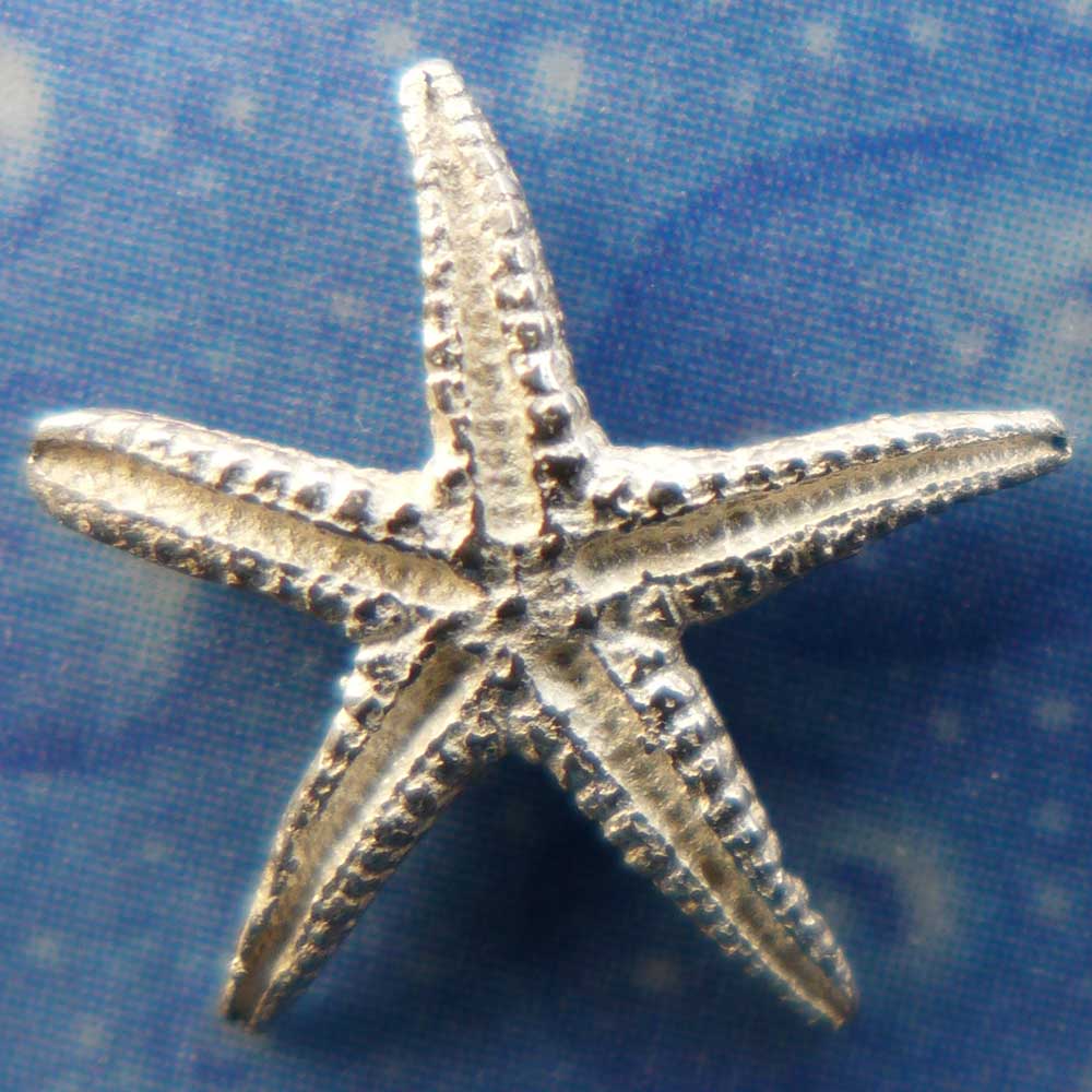 Ohrstecker Silber Seestern Schmuck