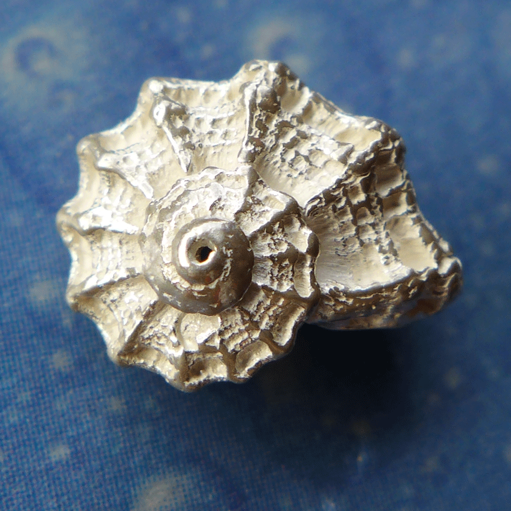 Schnecken Ohrstecker Silber Turban