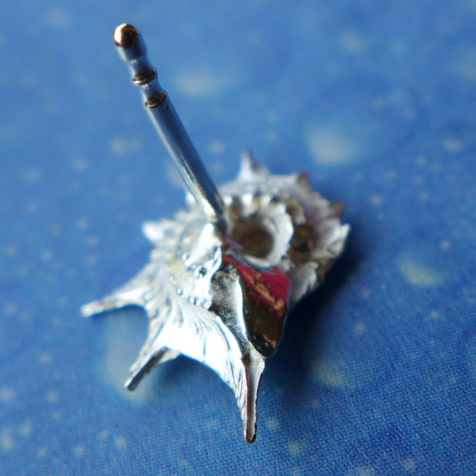 Taucherschmuck Ohrstecker Silber Rückseite Sternschnecke