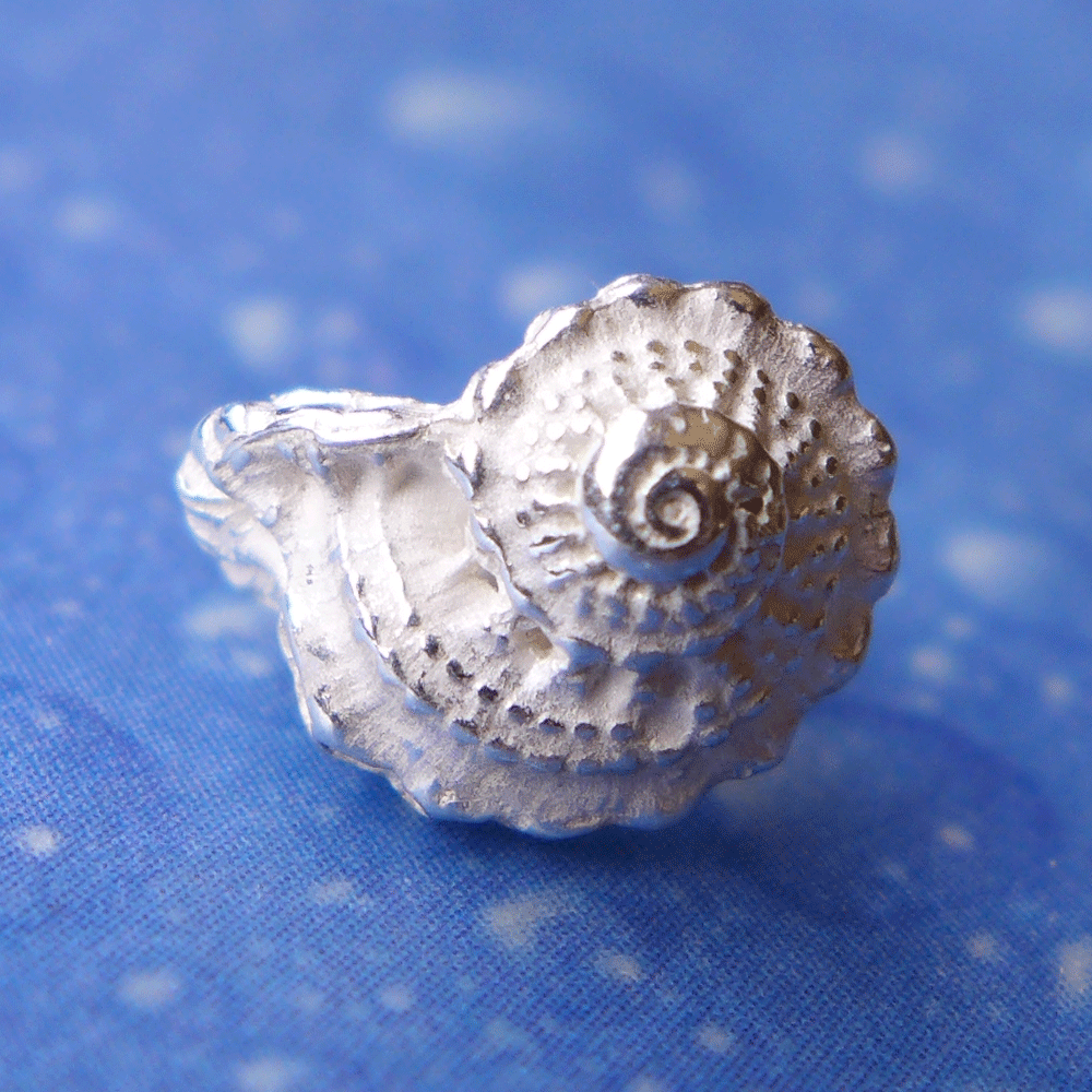 Ohrstecker Schnecke Unbekannte Schönheit Schmuck