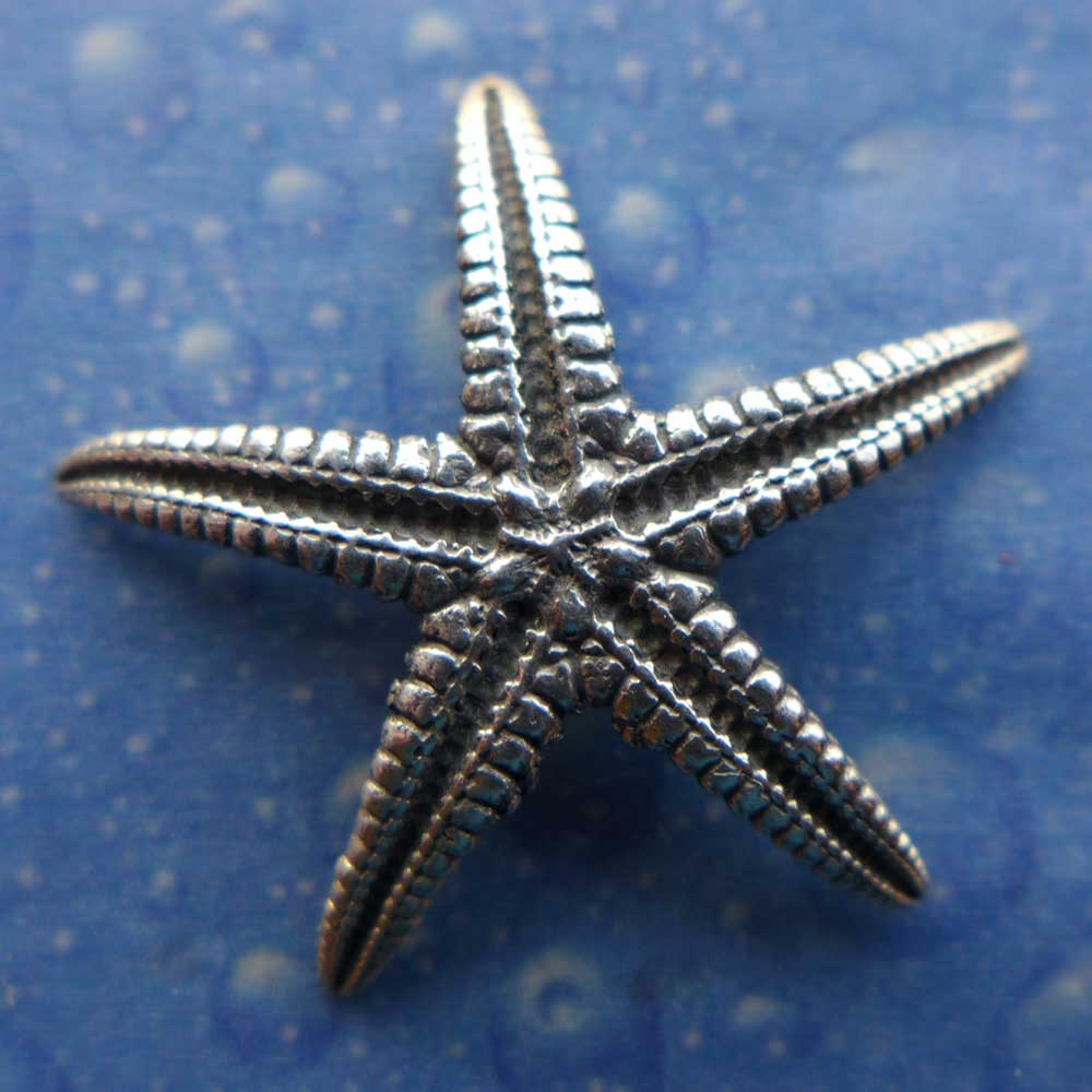 Naturschmuck Seestern Ohrstecker geschwärzt