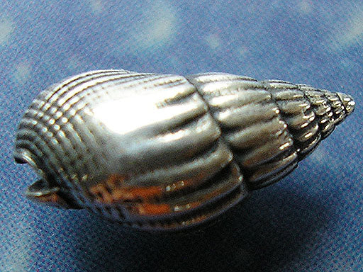 Urlaubsfeeling Ohrstecker Netzreuse xs