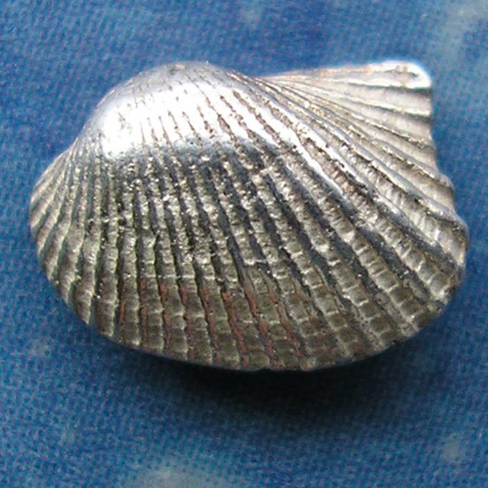 Pilgerherzmuschel Ohrstecker